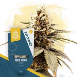 White Widow (Zamnesia...