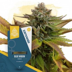 Blue Widow (Zamnesia Seeds)...