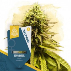 Sour Diesel (Zamnesia...