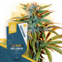 Sweet Lemon AK (Zamnesia...