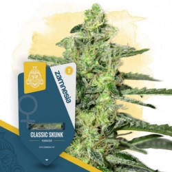 Classic Skunk (Zamnesia...