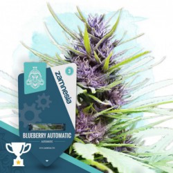 Blueberry Automatic...