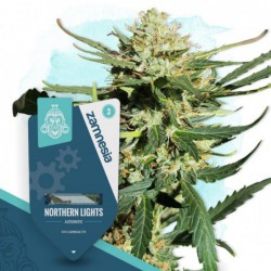 Northern Lights Automatic...