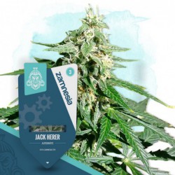 Jack Herer Automatic...