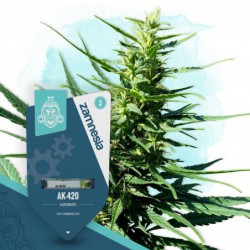AK-420 Automatic (Zamnesia...