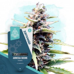 Amnesia Skunk Automatic...