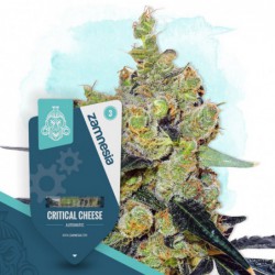 Critical Cheese Automatic...