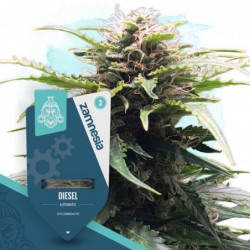 Diesel Automatic (Zamnesia...