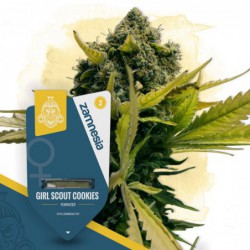 Girl Scout Cookies...