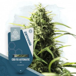 CBD Fix Automatic (Zamnesia...