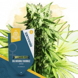 OG Double Bubble (Zamnesia...
