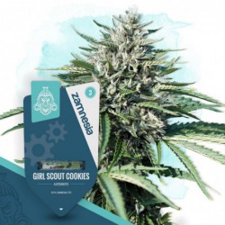 Girl Scout Cookies...
