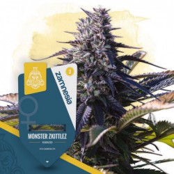 Monster Zkittlez (Zamnesia...