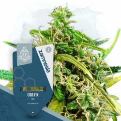CBD Fix (Zamnesia Seeds)...