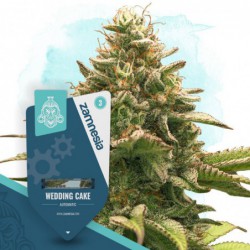 Wedding Cake Automatic...