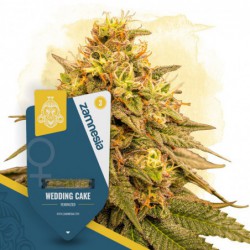 Wedding Cake (Zamnesia...